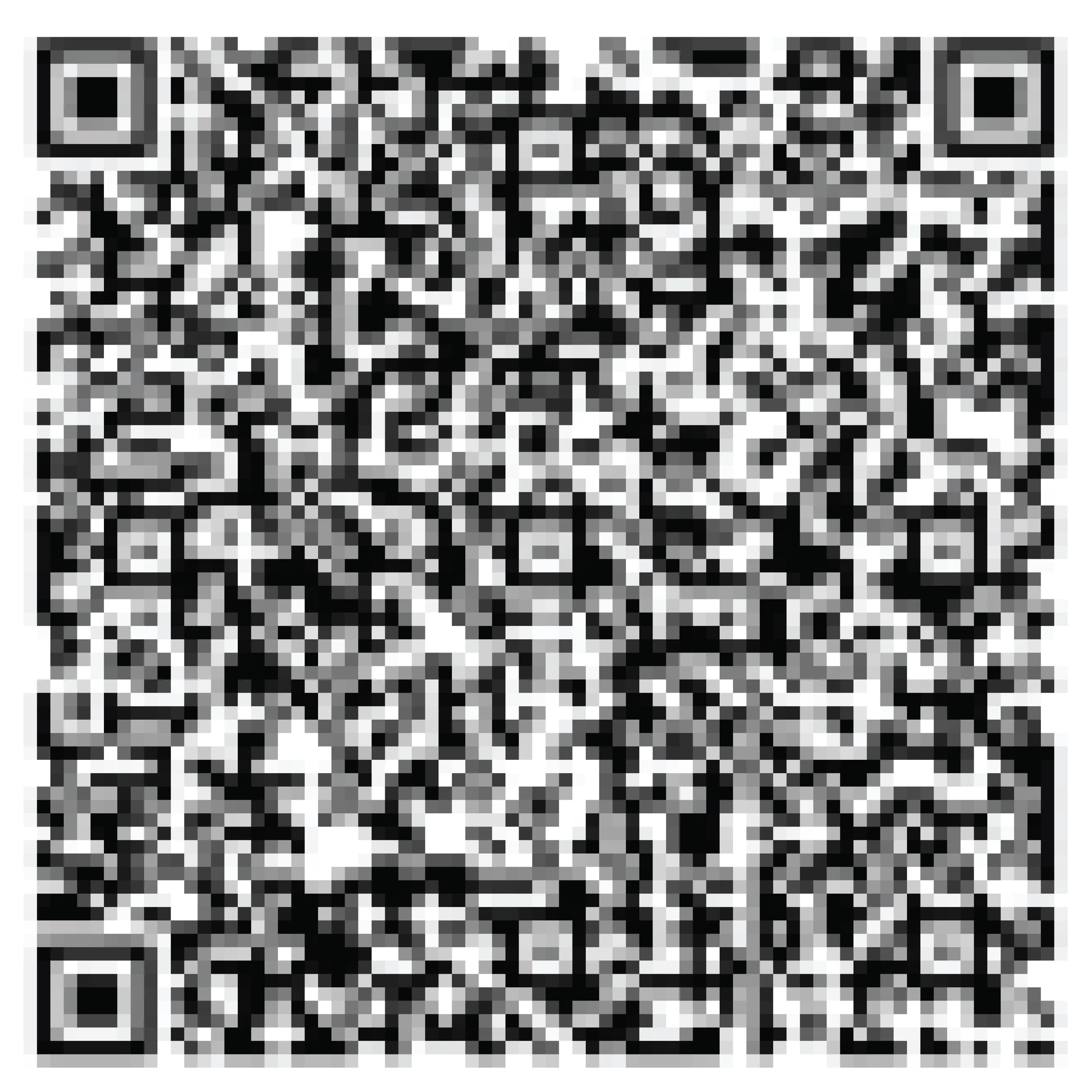 qr image